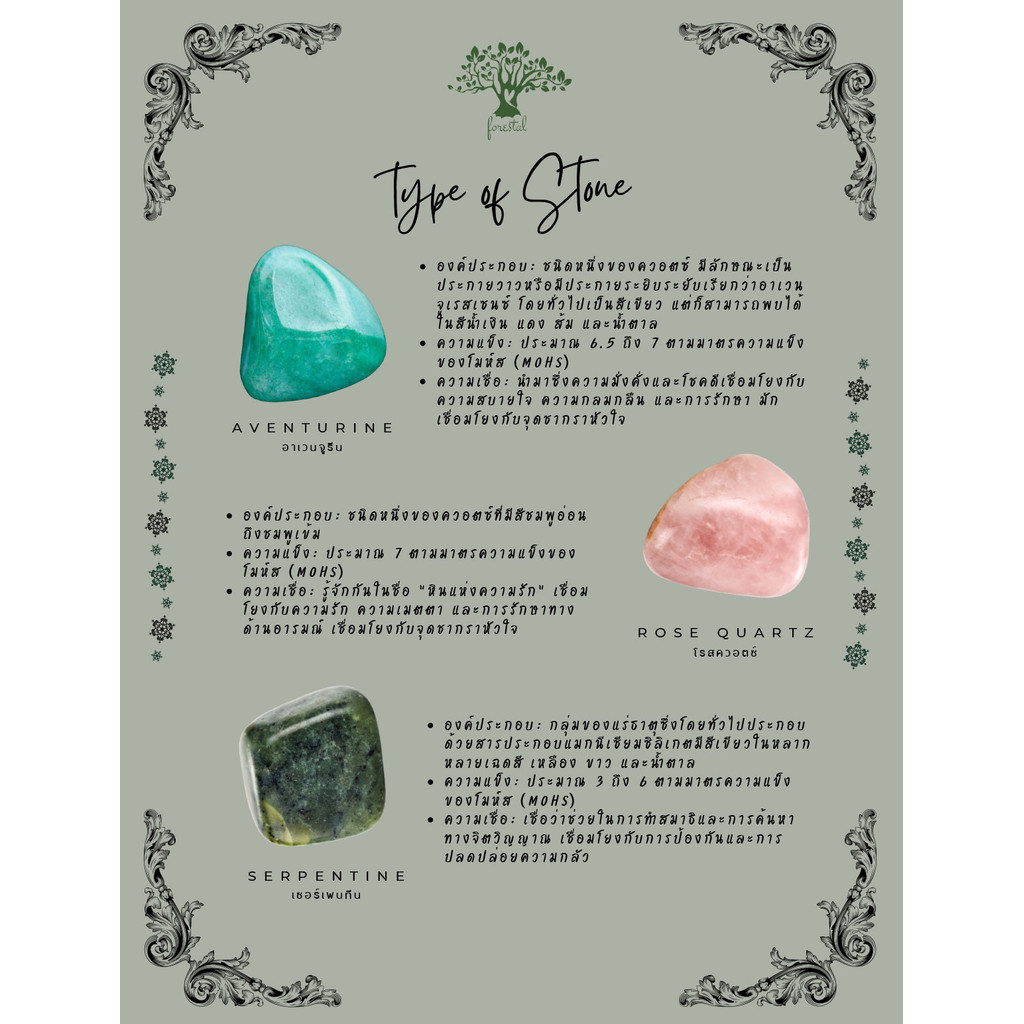 Forrest Jade Gua Sha ฟอร์เรสท์ กัวซา - Image 7